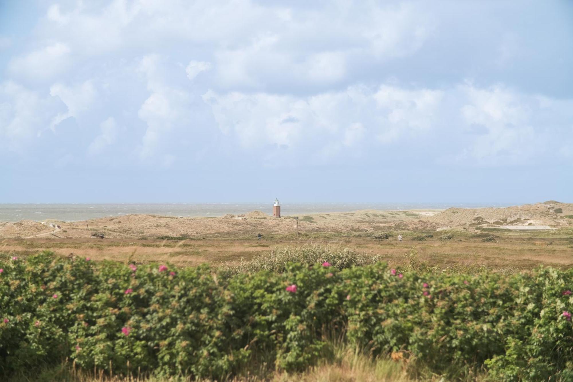 Boutique Suites Sylt In Kampen Am Roten Kliff Re-Opening Mai 2023 Kültér fotó